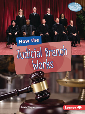 cover image of How the Judicial Branch Works